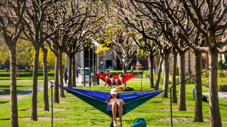 Students sitting in hammocks outside between trees