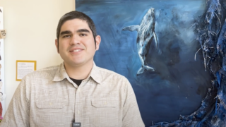 David Bañuelas