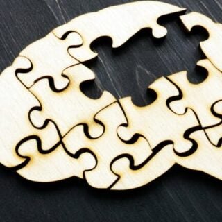 Brain puzzle
