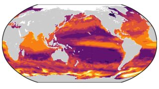 Computer model of carbon microbes in Pacific surface waters
